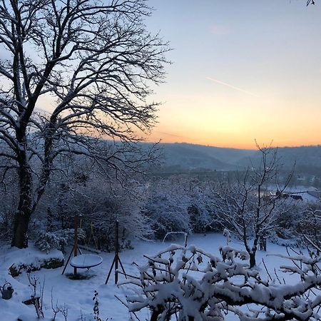 Ueber Den Daechern Von Koblenz - Aussichts-Wohnung Naturpark Rheinblick, Ruhig, Zentrumsnah, Sport-Pool Ngoại thất bức ảnh