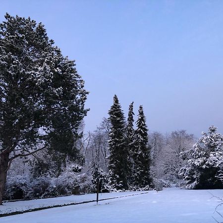 Ueber Den Daechern Von Koblenz - Aussichts-Wohnung Naturpark Rheinblick, Ruhig, Zentrumsnah, Sport-Pool Ngoại thất bức ảnh
