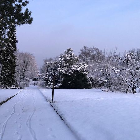 Ueber Den Daechern Von Koblenz - Aussichts-Wohnung Naturpark Rheinblick, Ruhig, Zentrumsnah, Sport-Pool Ngoại thất bức ảnh