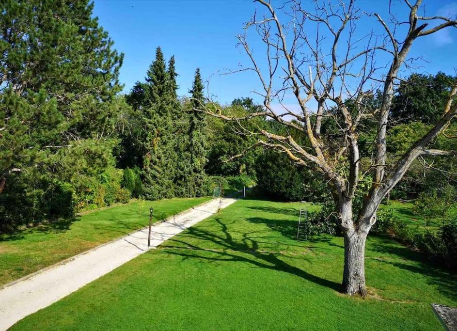 Ueber Den Daechern Von Koblenz - Aussichts-Wohnung Naturpark Rheinblick, Ruhig, Zentrumsnah, Sport-Pool Ngoại thất bức ảnh
