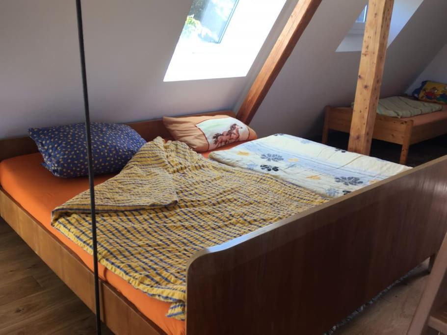 Ueber Den Daechern Von Koblenz - Aussichts-Wohnung Naturpark Rheinblick, Ruhig, Zentrumsnah, Sport-Pool Ngoại thất bức ảnh